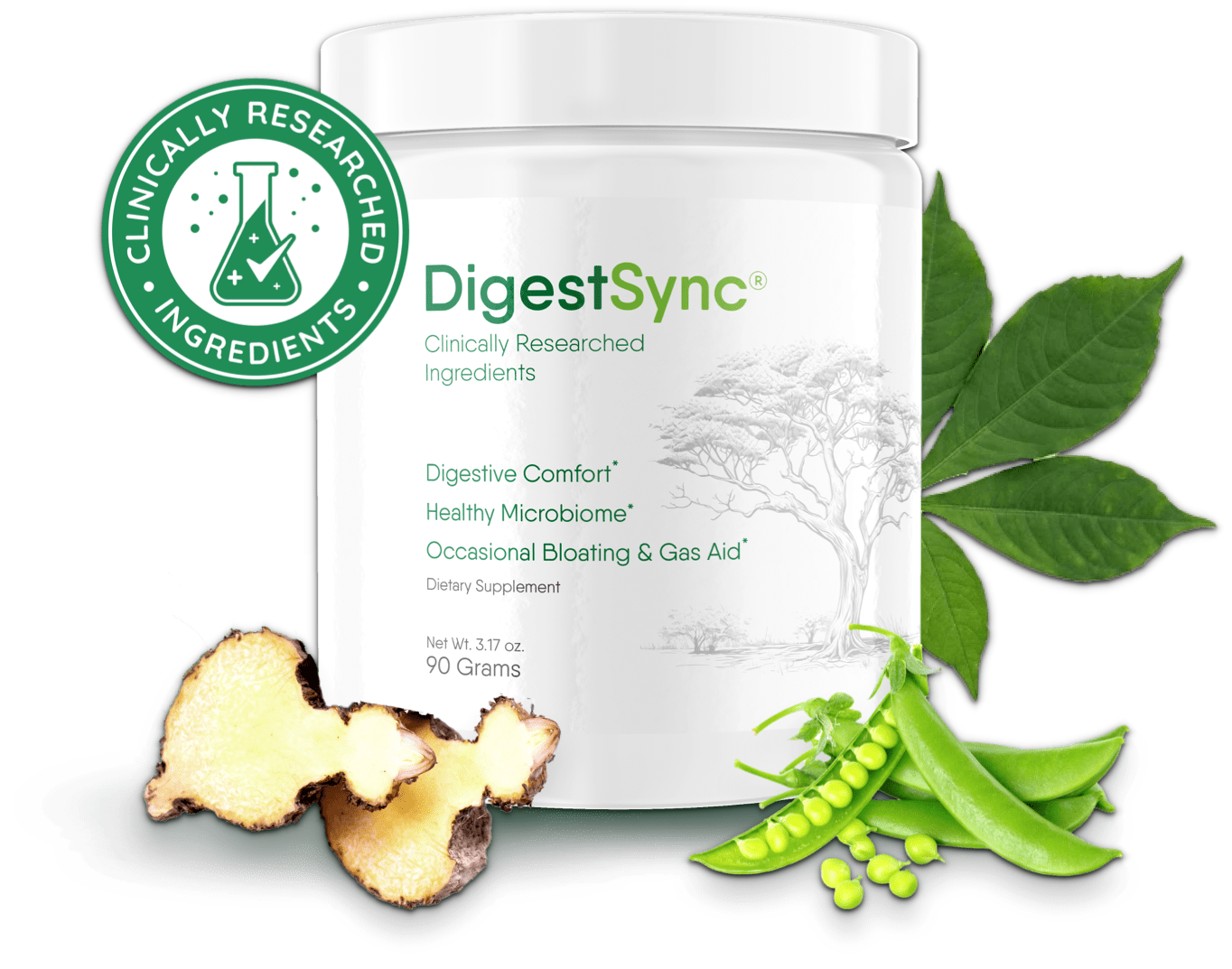 DigestSync Supplement DigestSync Supplement